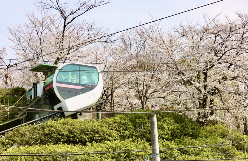 スライド写真1枚目
