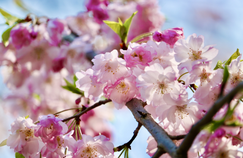 スライド写真6枚目